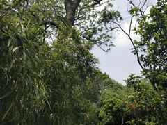 -菊花台公园