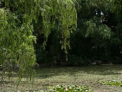-新洲生态园