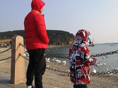 -烟墩角天鹅湖