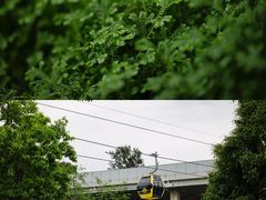 -广州市白云山风景名胜区