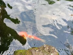 -海口火山口国家地质公园
