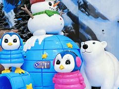 -湘江欢乐城欢乐雪域