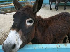 -酷鱼垂钓CLUB(朝阳区博大路店 )