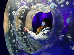 -海合安成都极地海洋公园