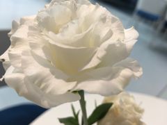 -intime coffee(芝麻街店)