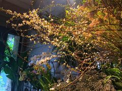 -春暖花开(西溪店)