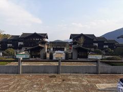 -大唐贡茶院