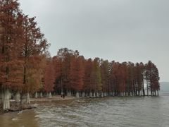 -四明湖