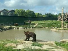 -上海野生动物园