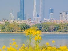 -海珠湖公园