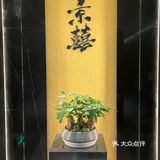 长沙最美江景日料店被我发现啦