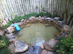 -张家港金凤凰度假村温泉