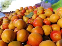 -阿布拉的馕(西北路店)