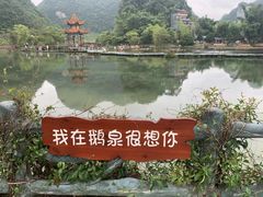 -靖西鹅泉风景区