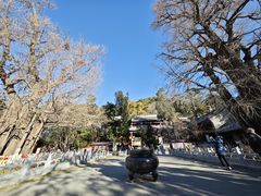 -潭柘寺景区
