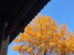 -南岳衡山风景名胜区-南岳大庙