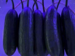 -漫·汤泉