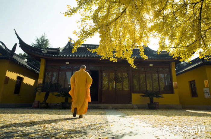 颐浩禅寺图片