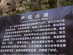-大芦花风景区