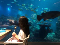 -海棠湾洲际-涛·海底餐厅·美人鱼·自助餐·海底隧道