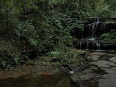 -蜀南竹海景区