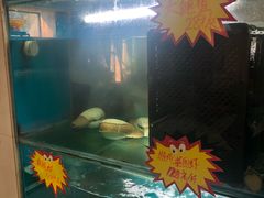 -亚丁湾海鲜大酒店(万泉嘉苑店)