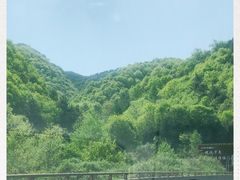 -青峰峡国家森林公园