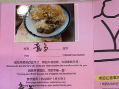 -艾贝尔宠物医院·24H转诊中心·肿瘤猫专科(江宁双龙店)