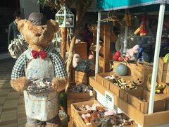 -济州岛泰迪熊博物馆