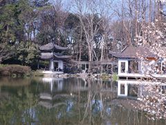 -杭州植物园
