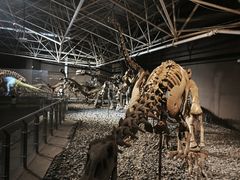 -世界恐龙谷景区