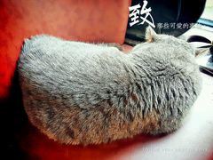 -B.O.M波姆烘焙(凤凰街店)