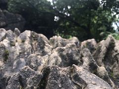 -梭布垭石林景区