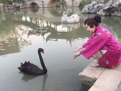-国寿嘉园·苏州雅境