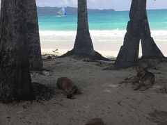 -白沙滩