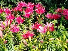 -长春公园(普阳街道)