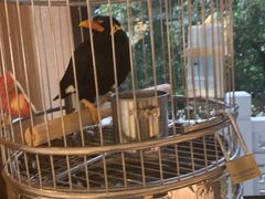 -杭州香格里拉饭店