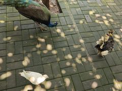 -开元溶洞