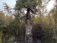 -终南山古楼观历史文化景区