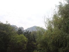 -九龙池景区