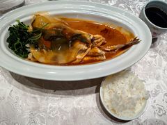 -新光酒家·河豚·海鲜·蟹料理(浦东店)