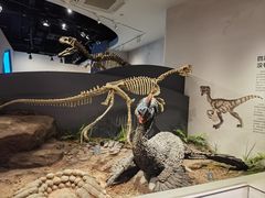 -自贡恐龙博物馆