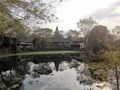 -西溪国家湿地公园