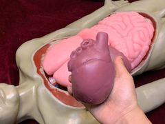 -陕西自然博物馆