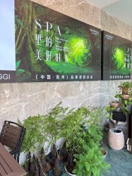 -阅年轻·AI家庭健康体质调理