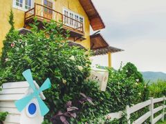 -黄色小屋