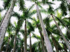 -深圳国际园林花卉博览园