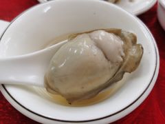 -花苑美食横琴生蚝火锅(拱北粤华路店)