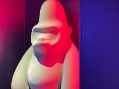 -Hi City·城市之巅