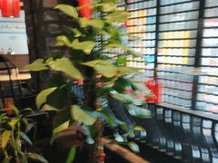 -红蜡烛-养生粥-津鲁菜(中山路店)